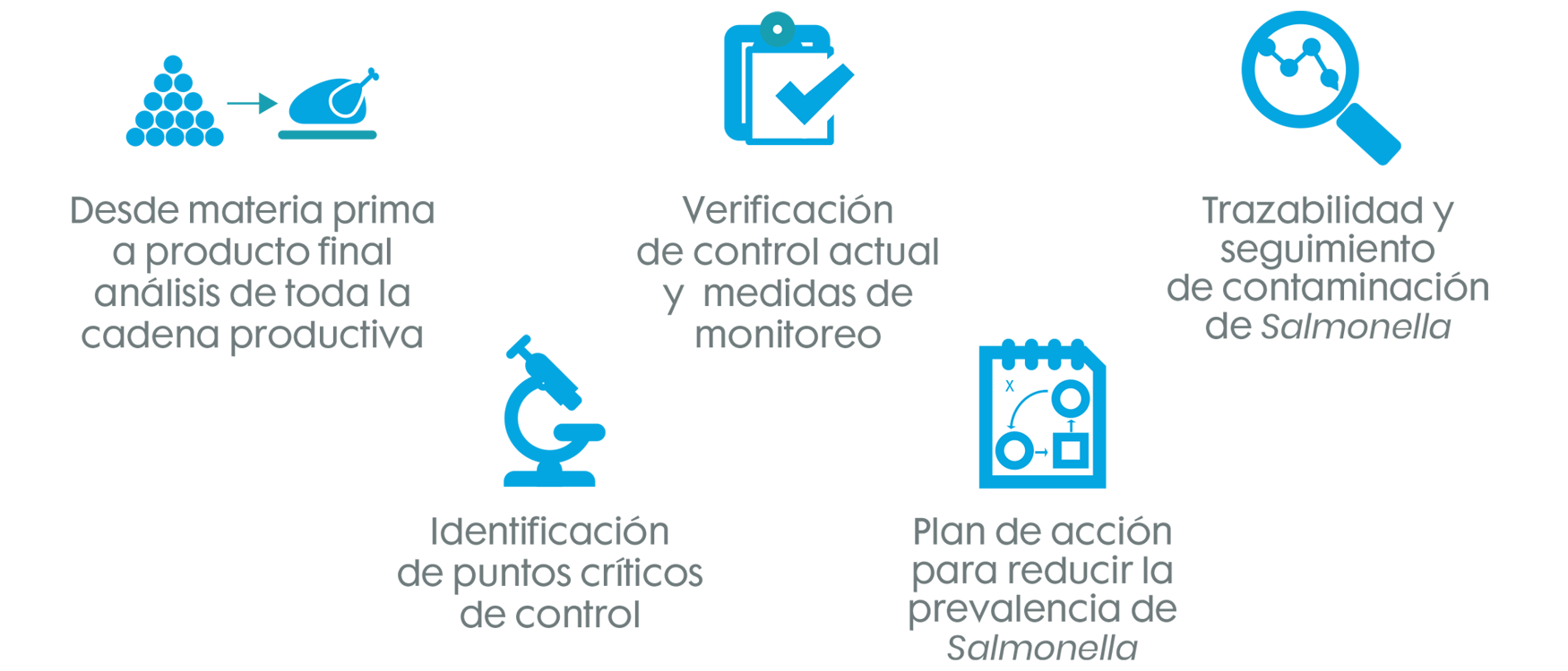 Desde materia prima a producto final, verificacación y monitores, trazabilidad, identificación de puntos críticos y plan de acción contra la Salmonella