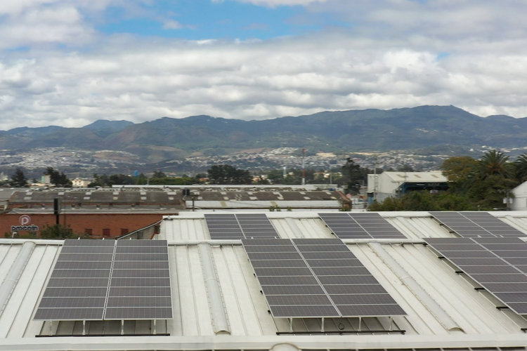 Planta de Trouw Nutrition en Guatemala genera hasta el 100% de su energía con paneles solares