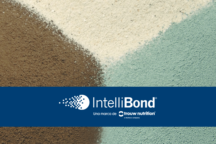 IntelliBond®