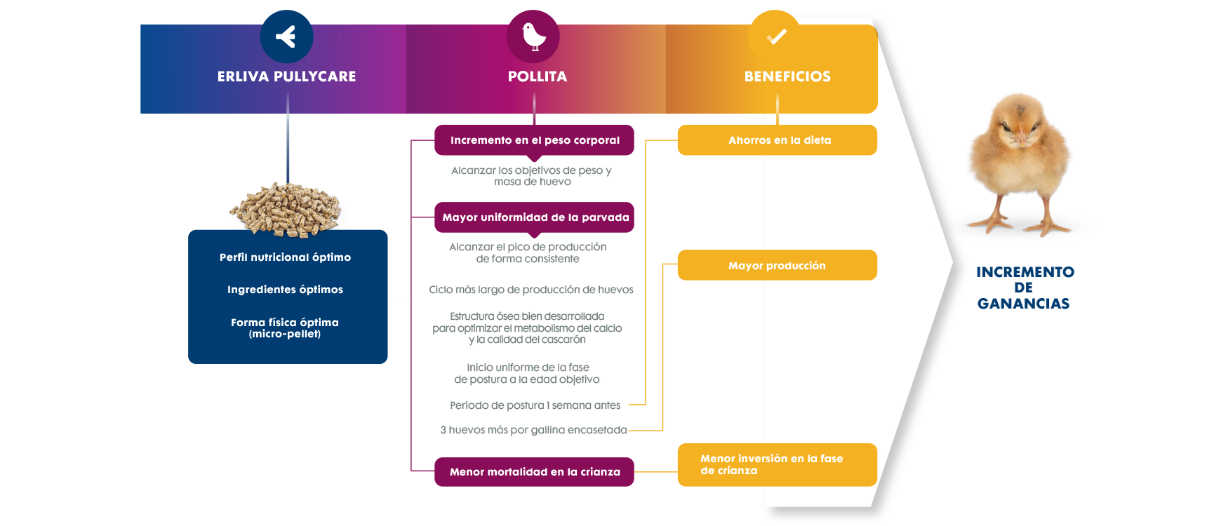 Eleve el rendimiento de su parvada con PullyCare