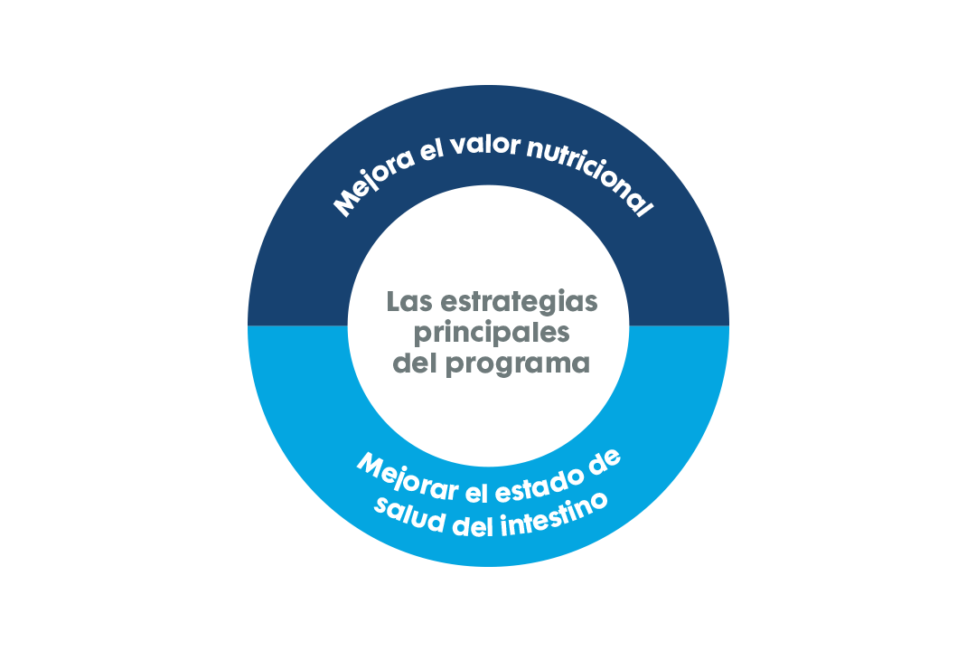 Las estrategias principales del programa