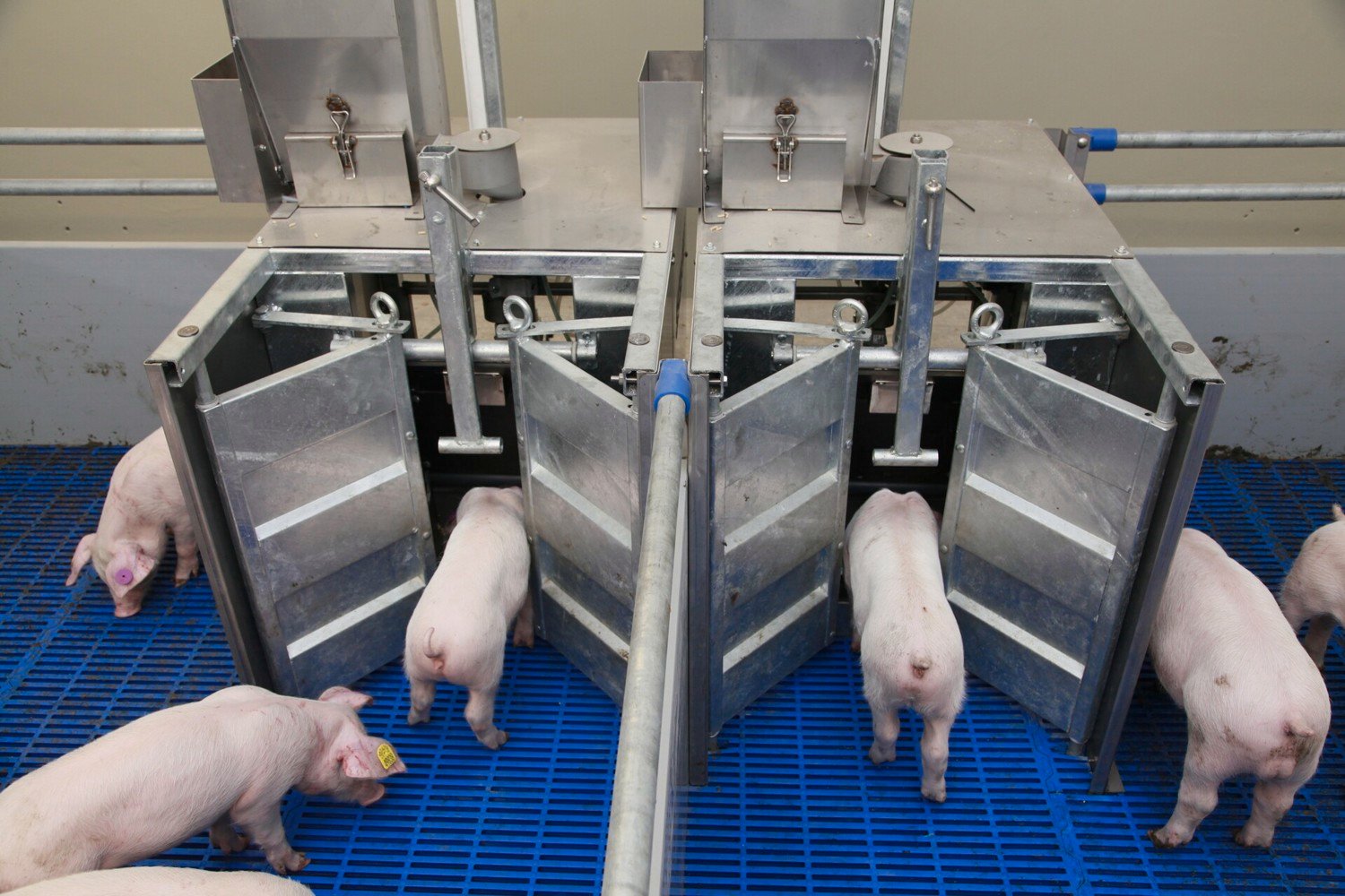 Investigación y Desarrollo