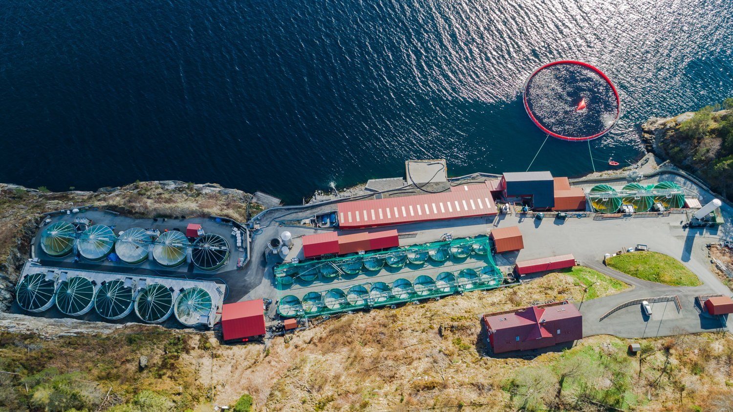 Descargo de responsabilidad